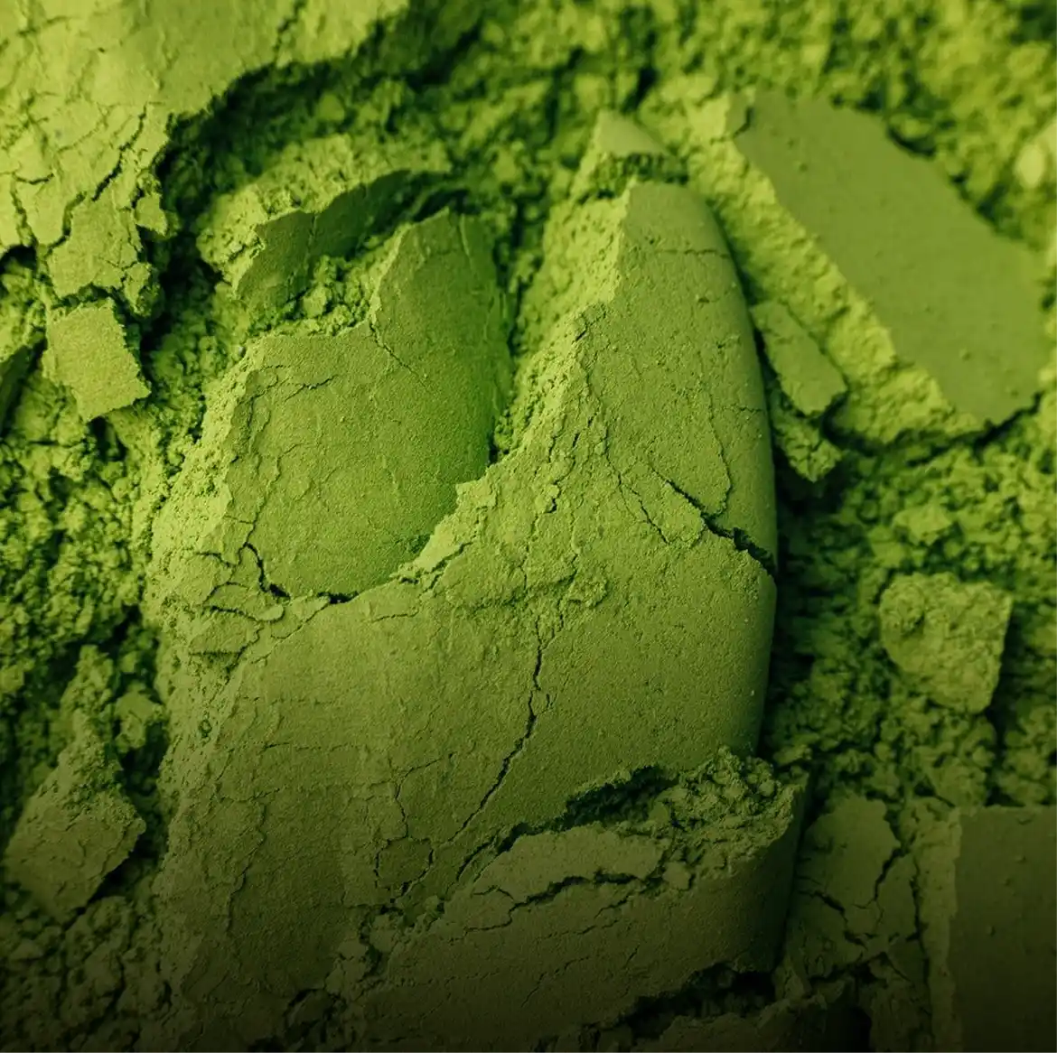 Moringa