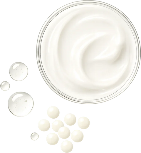 Ceramides