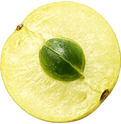 Amla